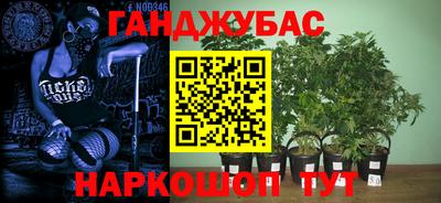 бошки Абакан