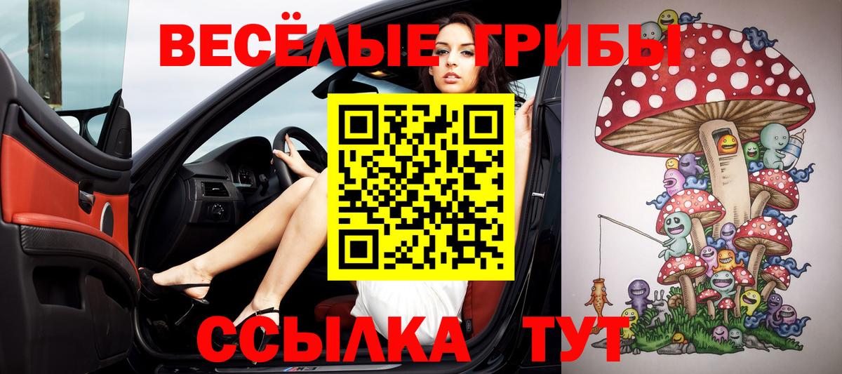Галлюциногенные грибы Cubensis Александров