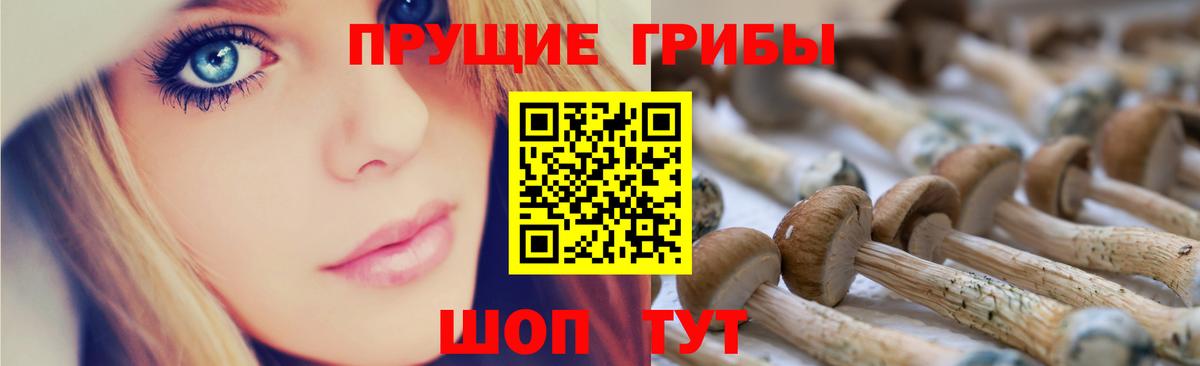 Галлюциногенные грибы ЛСД  Вход с VPN  сколько стоит  Александров 